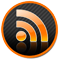 RSS Logo